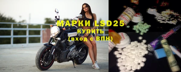 спиды Ладушкин