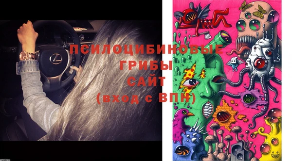 мдпв Куйбышев