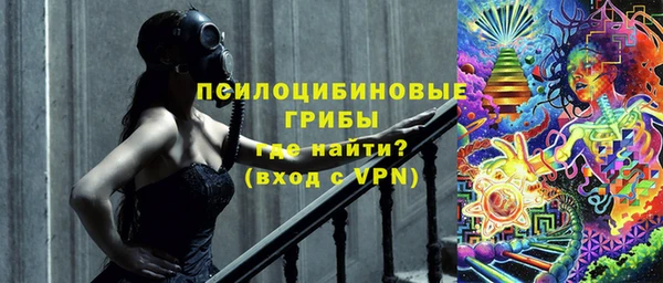 мдпв Куйбышев
