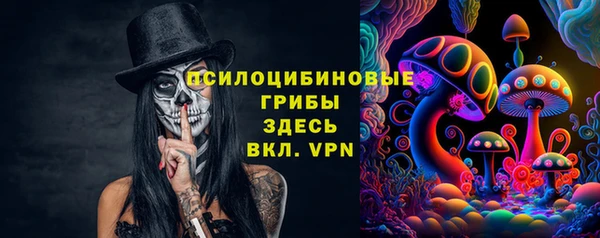 мдпв Куйбышев