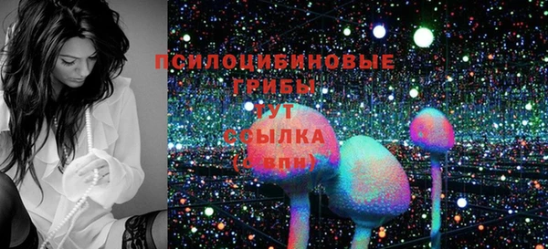 мяу мяу мука Алапаевск