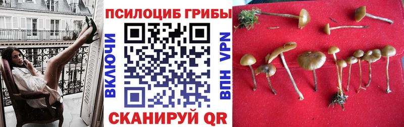 кракен сайт  Нижний Ломов  Галлюциногенные грибы прущие грибы 